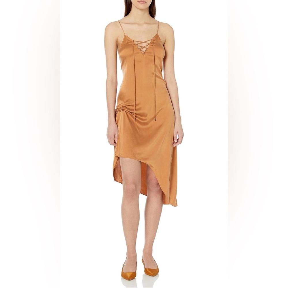 Haute Hippie Hampton Dress